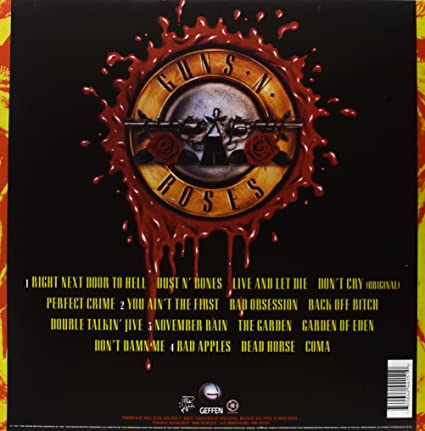 DOS VINILOS - GUNS N' ROSES - USE YOUR ILLUSION I - IMPORTADO – Universal  Music Colombia Store